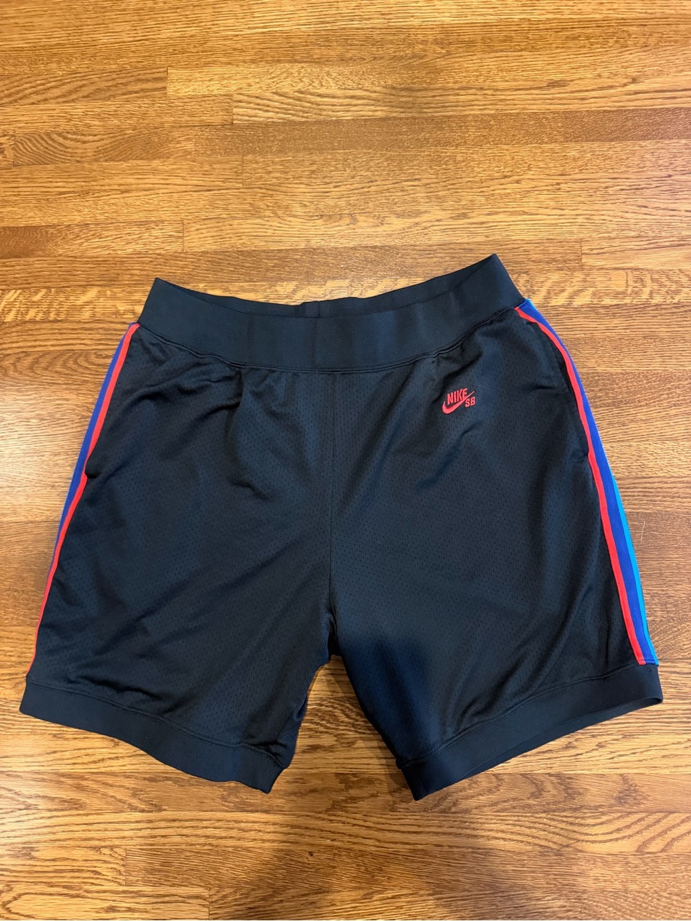 Nike SB shorts